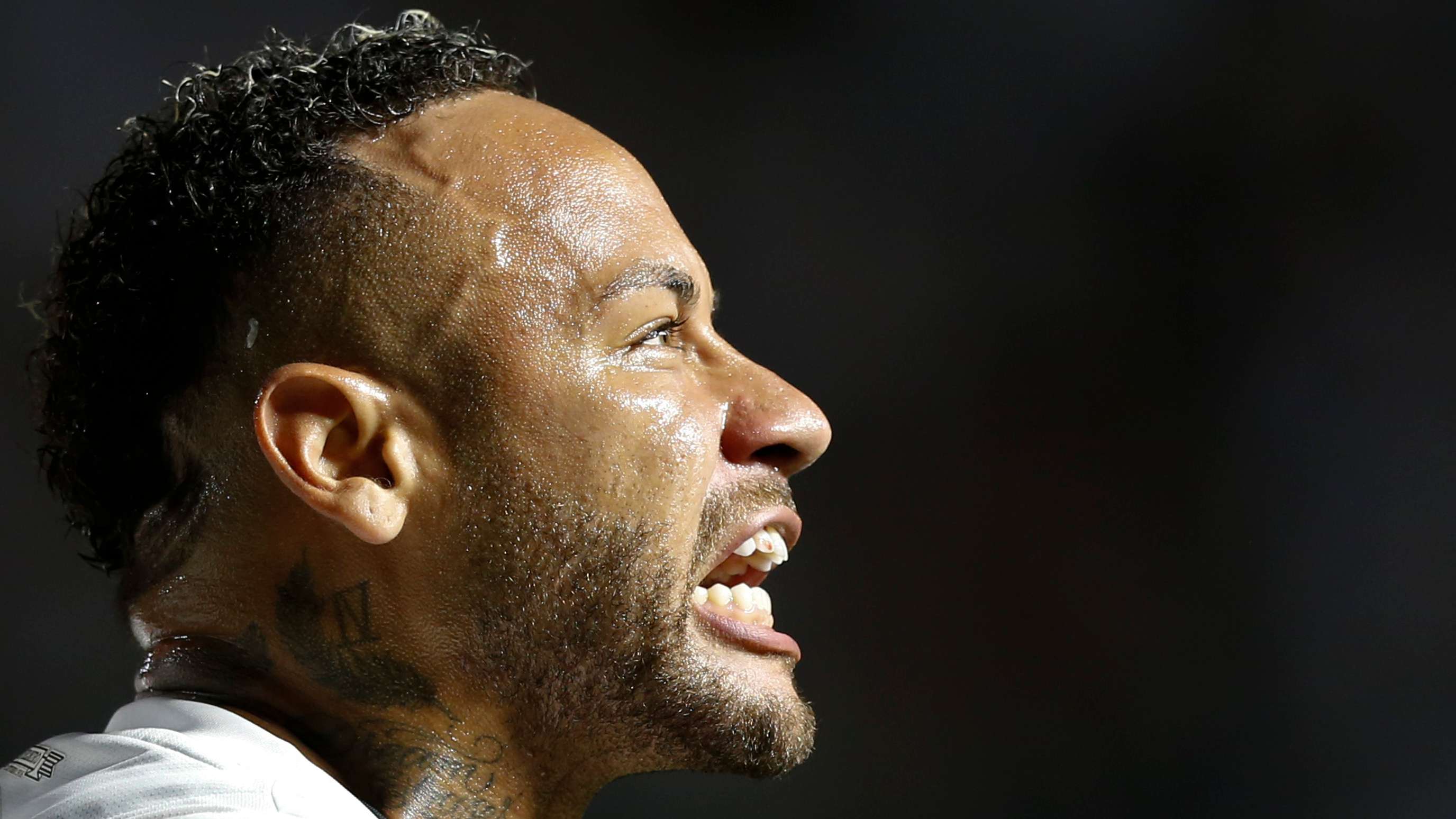 丰富的旅游 丰富的旅游