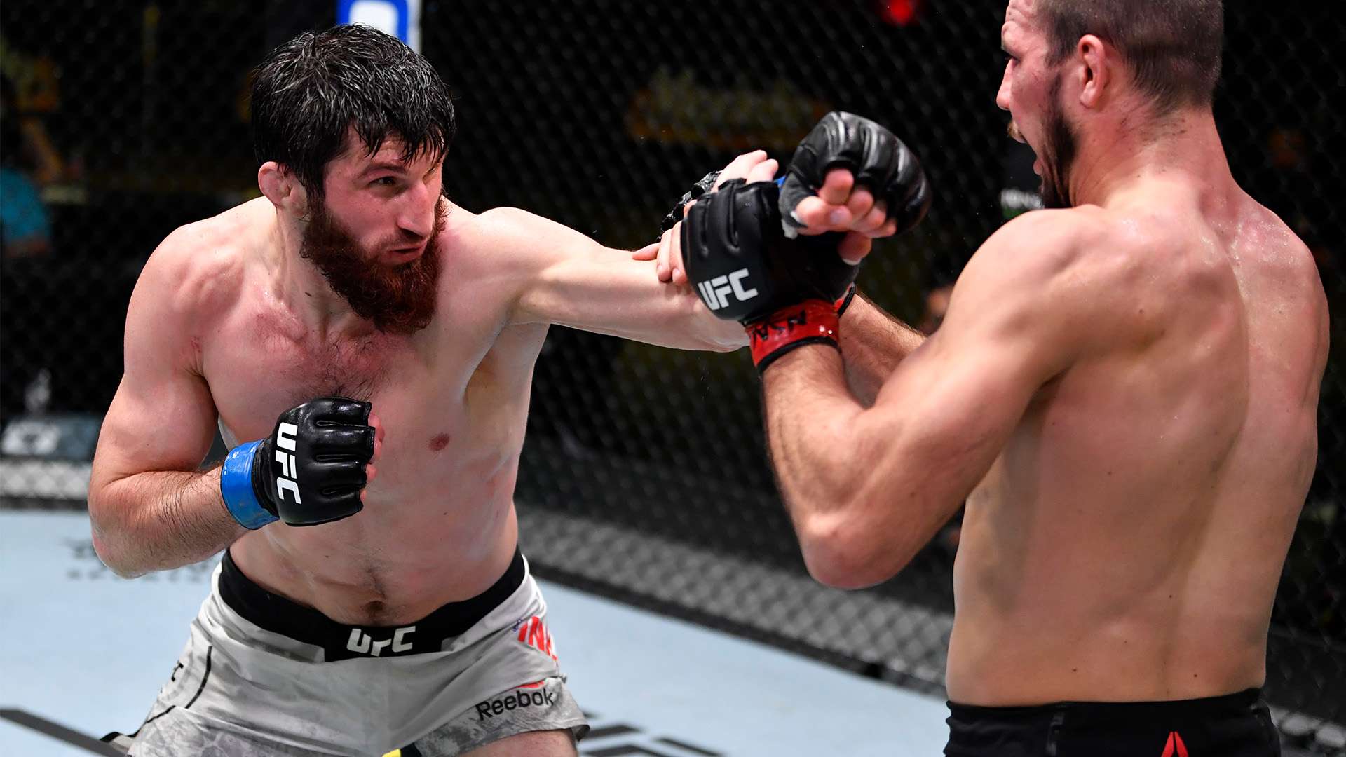 這意味著皇 這意味著皇