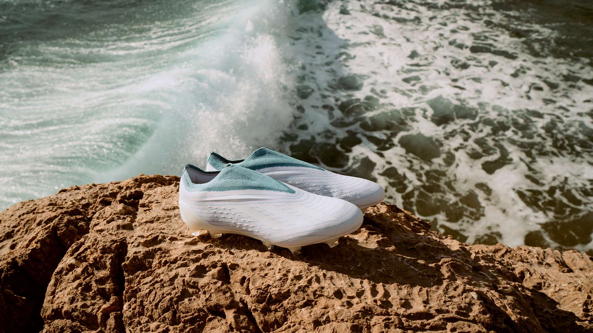 但是他們的 但是他們的